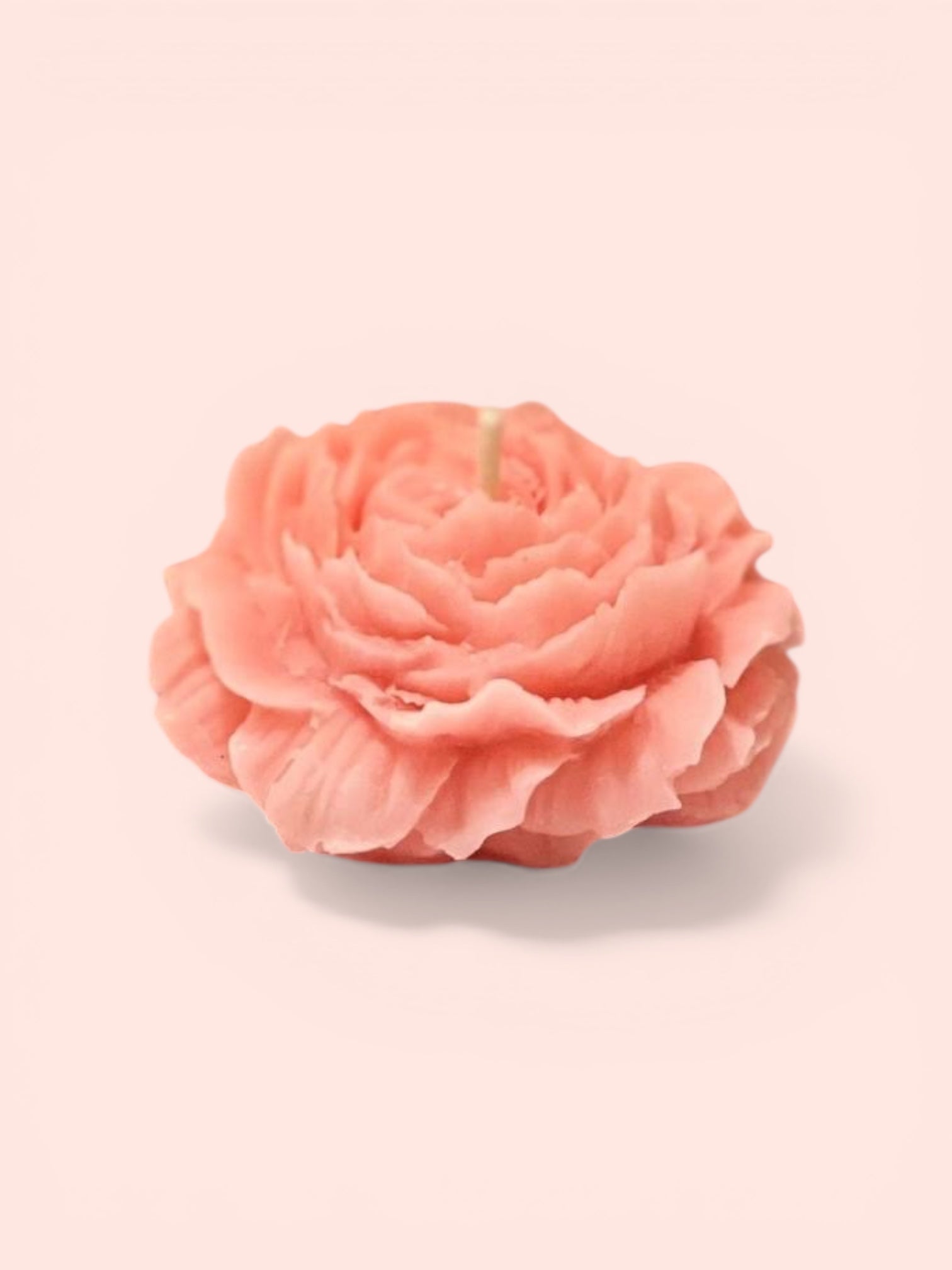 Vela Aromática Rosa image 0